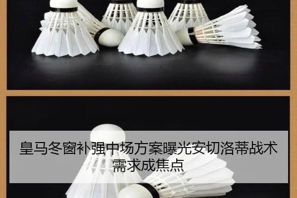 皇马冬窗补强中场方案曝光安切洛蒂战术需求成焦点
